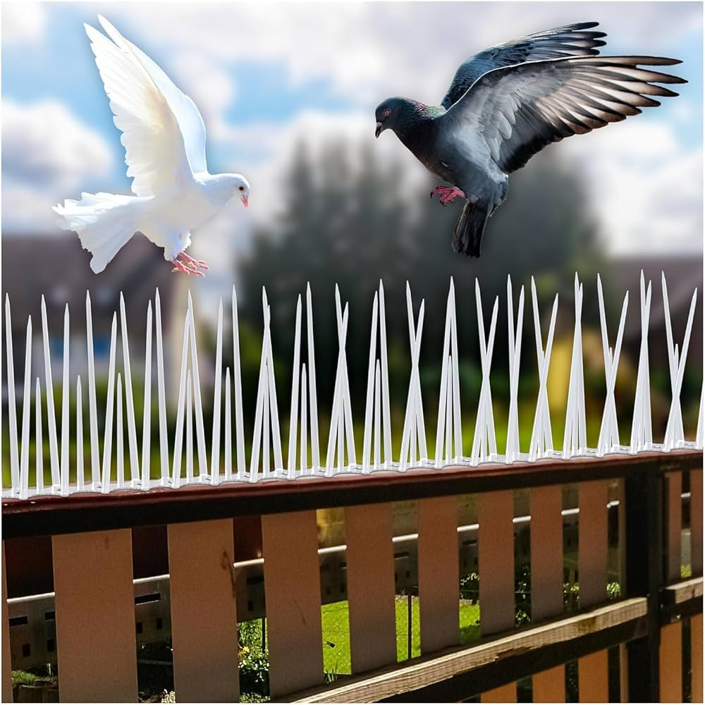 Bird spikes fitted on a parapet